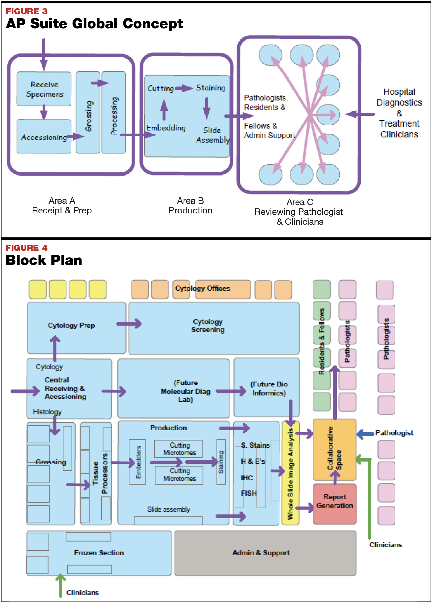 Evolving Workflow Drives Anatomic Pathology Design : December 2017 ...