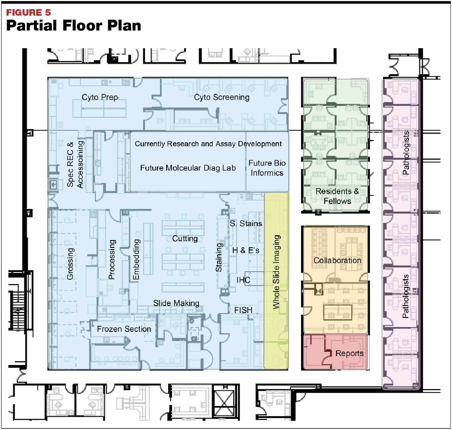 Floor Plan Medical Lab Design