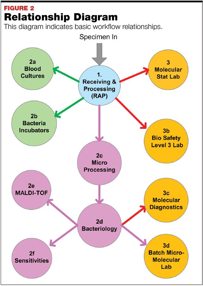 Microbiology Lab Flow Chart