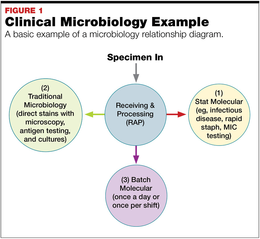 research proposal of microbiology