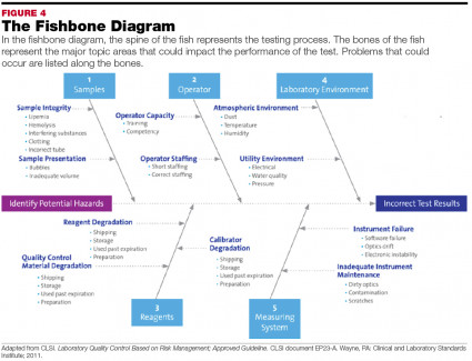 Fishbone Diagram Laboratory Results